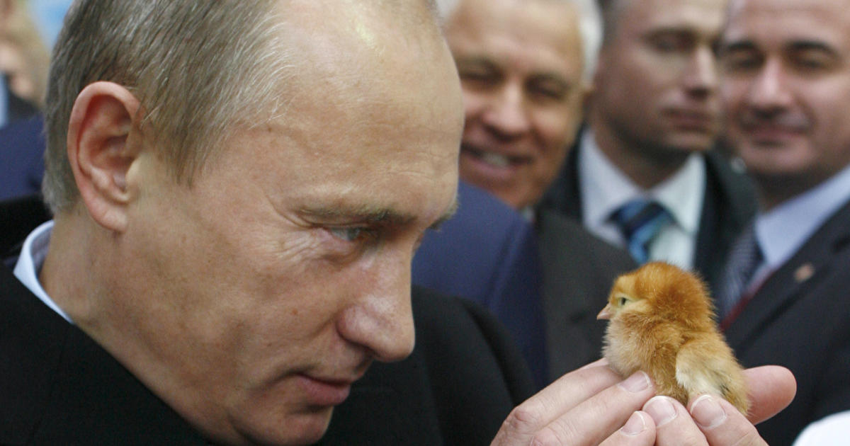 “Fuck Putin” — a moral confection